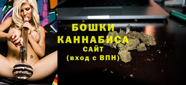 шишки Алзамай