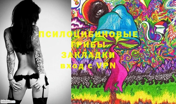 шишки Алзамай