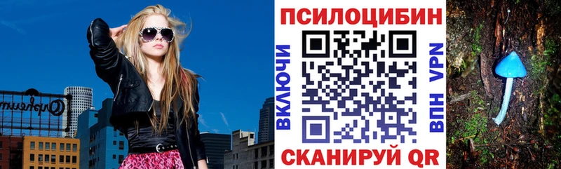 Галлюциногенные грибы Psilocybe Первоуральск